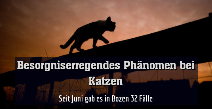 Seit Juni gab es in Bozen 32 Fälle