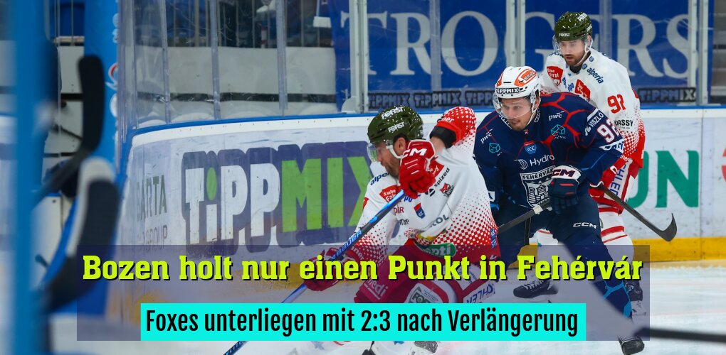 Foxes unterliegen mit 2:3 nach Verlängerung