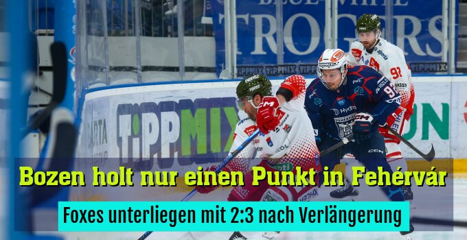 Foxes unterliegen mit 2:3 nach Verlängerung