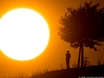 Extreme Temperaturen in Südtirol erwartet