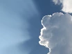 Die Hitze geht, der Sommer bleibt