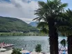 „Auf ‚Gratis-Schwimmer‘ kann unser Dorf getrost verzichten“