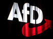 Süd-Tiroler Freiheit holt rechtsextremen AfD-Vertreter zum Jugendtreffen