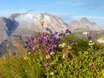 Ferienimmobilien in Südtirol und Trentino bei Ausländern immer gefragter