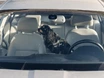 „Darf ich die Scheibe einschlagen, um den Hund zu retten?“