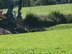 Hecken-Tod an Schweizer Grenze sorgt für Aufregung