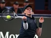 Sinner sagt für Davis Cup ab