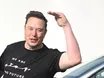 Elon Musk erobert Südtirol