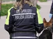 Lokalpolizei: Gesetzentwurf kommt im Juni in den Landtag