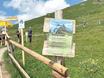 Dolomiten: Zweite “Mautstelle” auf Seceda aufgeploppt