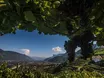 Kommt jetzt der Herbst? – vorerst nicht