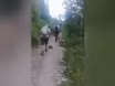 Verrückte Szenen in den Dolomiten – VIDEO