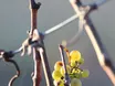 Schwarzarbeit nicht nur in der Landwirtschaft ein Problem