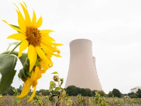 Podini bricht Lanze für Atomkraft: “Wind und Sonne reichen nicht”