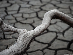 Meteorologen beklagen zunehmende Angriffe in sozialen Netzwerken