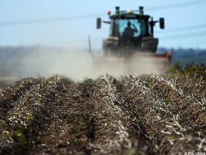 Vater unter Schock: Elfjähriger gerät unter Egge von Traktor