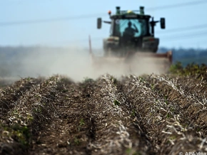 Vater unter Schock: Elfjähriger gerät unter Egge von Traktor