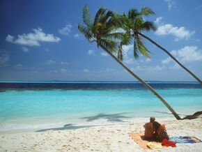 Urlaub: Remmidemmi-Fans sind in der Minderheit