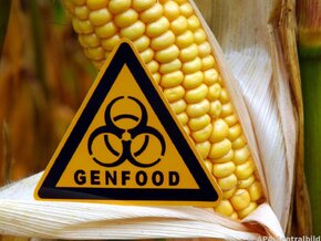 EU plant Lockerung bei neuer Gentechnik
