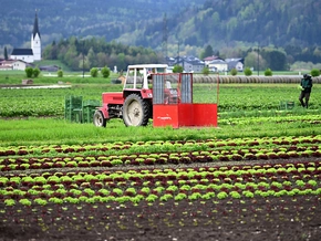 CISOA wird auch auf Saisonarbeiter auf dem Land ausgeweitet