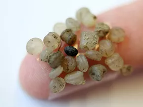 Zustand europäischer Flüsse wegen Mikroplastik “alarmierend”
