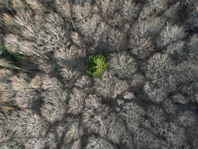 EU-Klimaziel für 2030 erreichbar