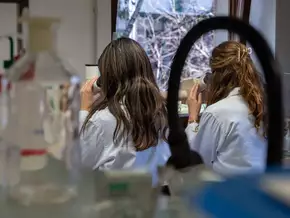 Pollen: Information ist der erste Schritt zur Prävention