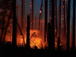 Große Waldbrände könnten sich bis 2100 in Europa verdoppeln