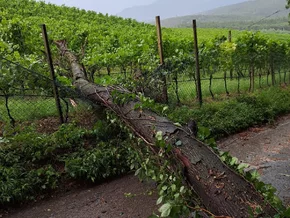 Schwere Unwetter über Südtirol