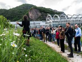 Aus Rasen wird Wiese, aus Balkon wird Paradies