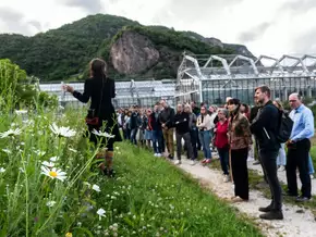 Aus Rasen wird Wiese, aus Balkon wird Paradies