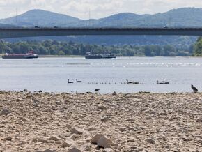 Niedrigwasser auf dem Rhein erschwert Schifffahrt