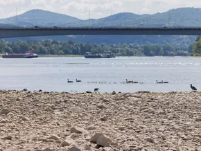 Niedrigwasser auf dem Rhein erschwert Schifffahrt