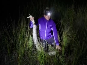 Florida: Auf Tour mit der Python-Jägerin