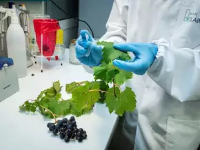 Innovations- und Forschungsstrategie RIS3 aktualisiert
