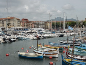 UNO-Konferenz zum besseren Meeresschutz ab Montag in Nizza