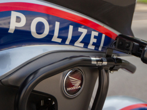 Mutter in Oberösterreich schützte Baby vor Hundeattacke