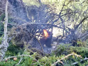 Kleiner Waldbrand in Langtaufers