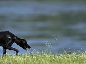 Bereits heißere Juli-Starts in Österreich gemessen