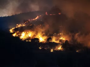 Evakuierungen auf Kreta und in der Türkei wegen Waldbränden