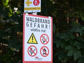 Waldbrandgefahr in Österreich "lokal relativ hoch"