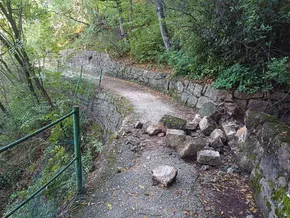 Felssturz auf der Oswaldpromenade in Bozen