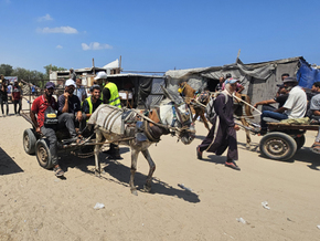 Laut Hamas-Behörde 93 Hilfesuchende in Gaza getötet