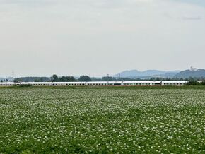 Mann greift in Niederbayern Fahrgäste in ICE nach Wien an