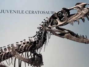 Millionen-Auktion: Marsbrocken und Dino lassen Kassen klingeln