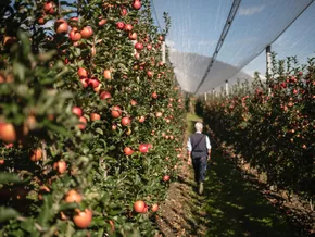 Gemeinden können lokale Wirtschaft künftig breiter fördern
