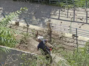 Gilfpromenade in Meran: Felswand gesichert