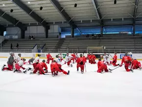 Die Foxes auf dem Eis in Corvara