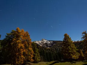 Sternegucken am 30. August am Jochgrimmpass