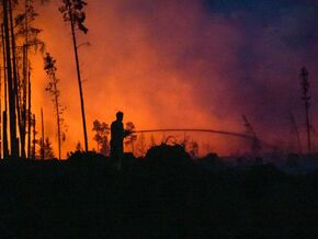 Forscher suchen nach Waldbrandrisiko-Hotspots in Österreich
